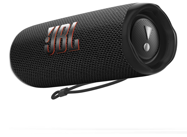 JBL Flip 6
